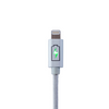 Lightning Charging Cable | MFi